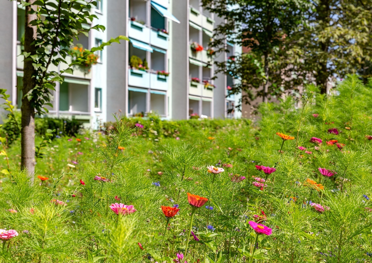 barrierearme Wohnung mit Aufzug, Dusche und 2 Balkonen